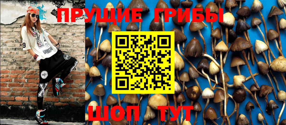 Псилоцибиновые грибы MAGIC MUSHROOMS  Вход с VPN  Советский 