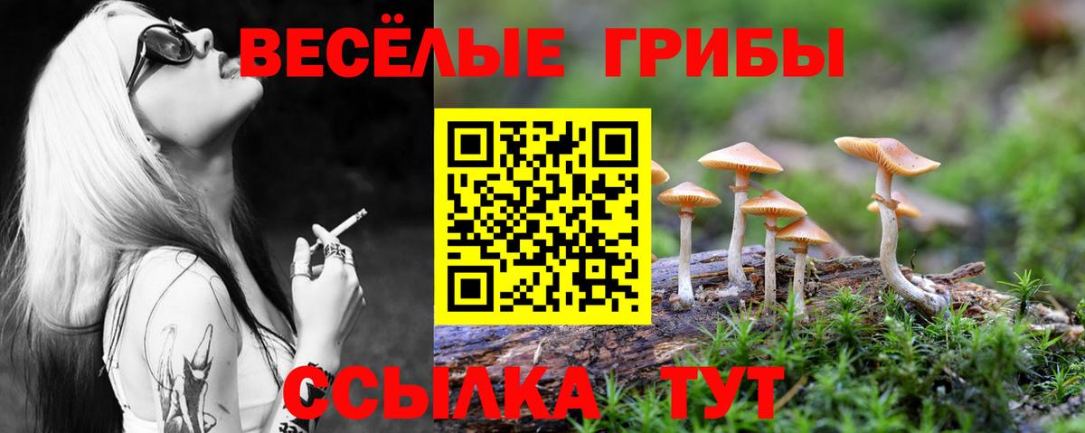 Галлюциногенные грибы Cubensis Советский